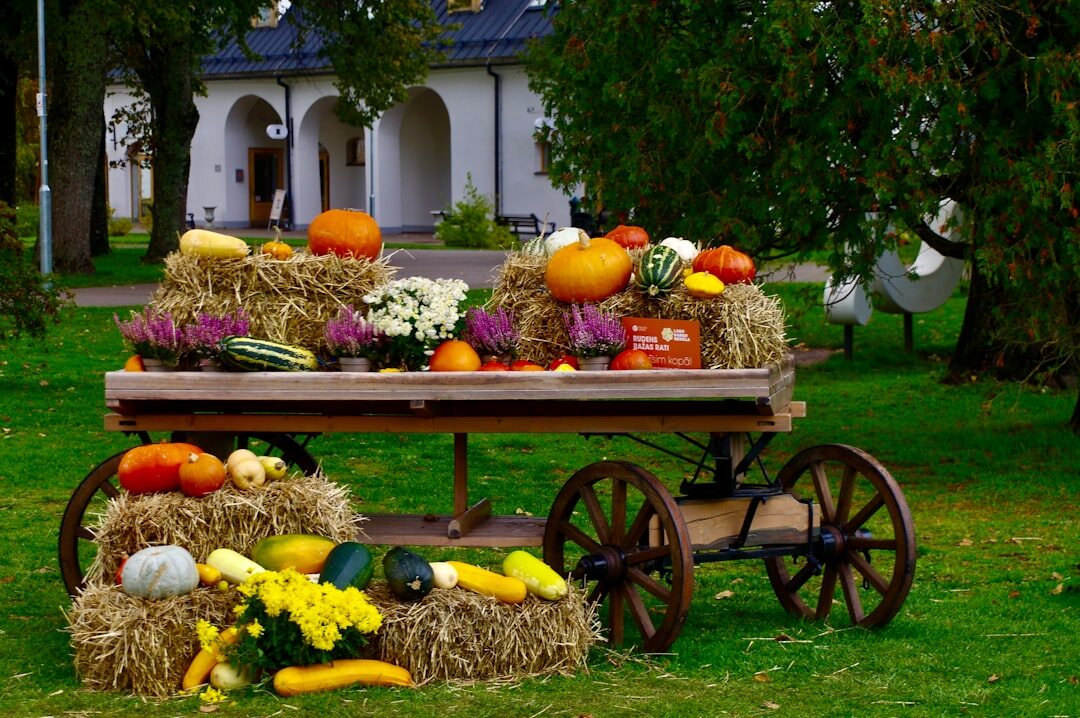 harvest festival celebration